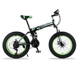 Mountain Bike 20"x 4.0 Folding Bicycle