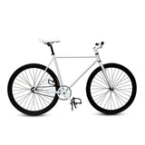 fixie Bicycle Fixed gear bike