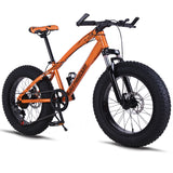 Bicycle Mountain bike
