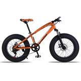 Bicycle Mountain bike