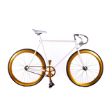 Fixie bike